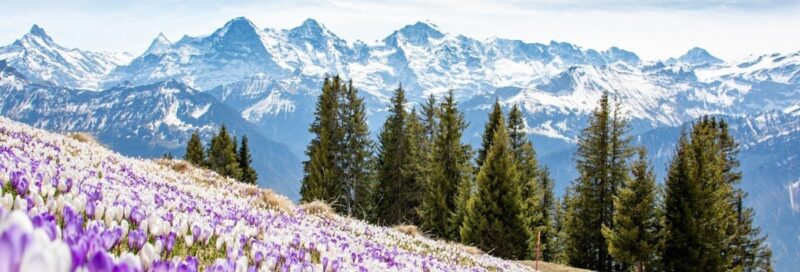 Op naar het Berner-Oberland