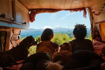 Reizen met je hond in een camper