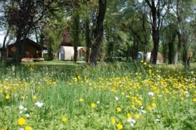 Camping Les Tournesols