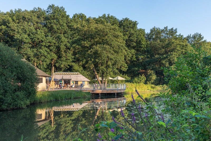 Kamperen in de natuur